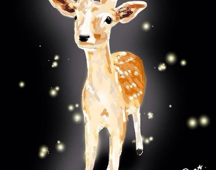 Sika Deer